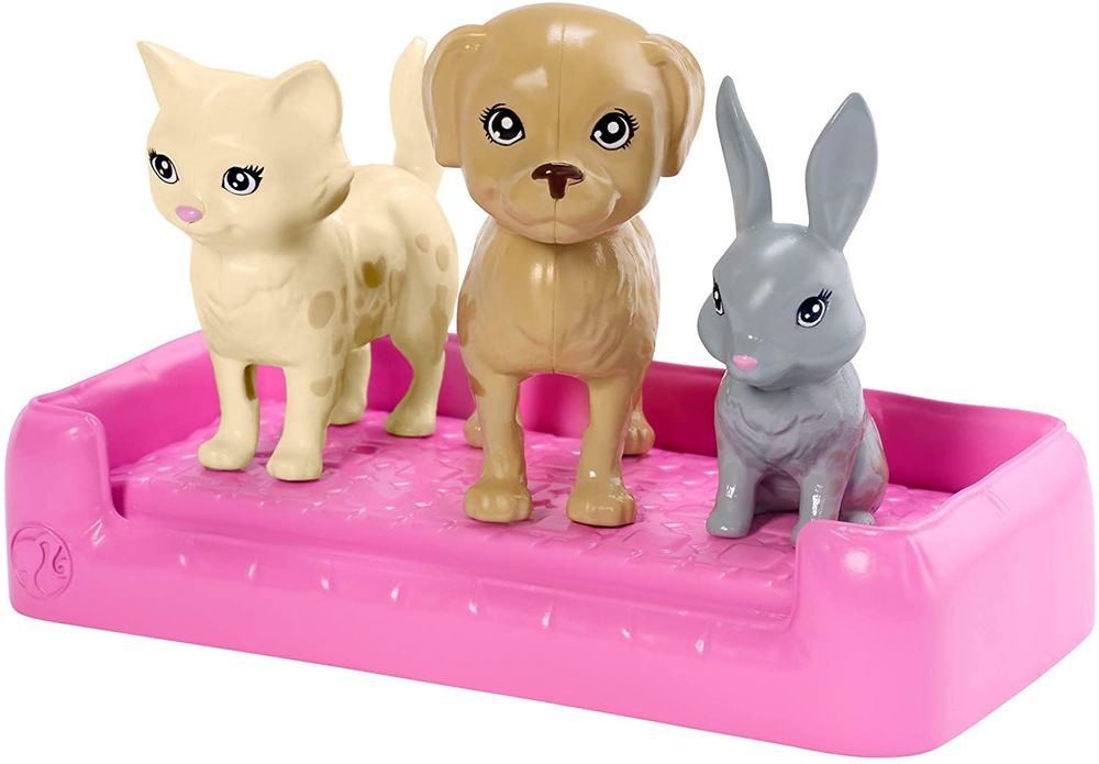 Кукла Барби с питомцами Купай и играй Barbie Play ‘n’ Wash Pets Playset with Blonde Doll FXH11
